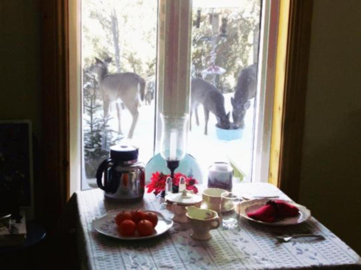 Bed and Breakfast La Petite Douceur Lac-Superieur Zewnętrze zdjęcie